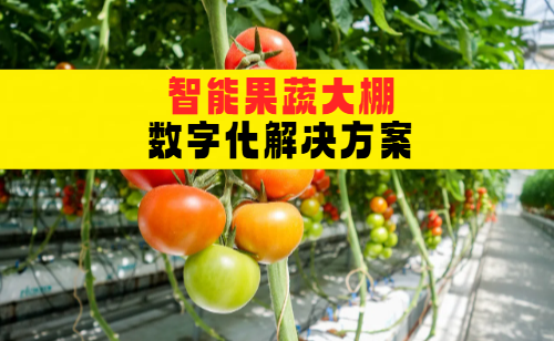 <b>智能果蔬大棚数字化解决方案：RFID技术引领农业创新</b>