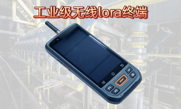国产工业级无线lora终端设备源头厂家(图1)