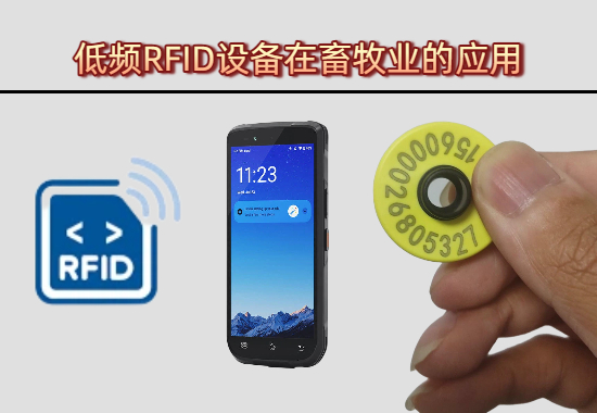 低频RFID设备在畜牧业的应用介绍图